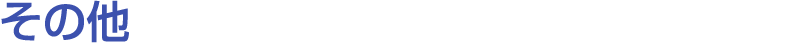 その他